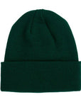 Santa Cruz Screaming Hand Beanie - Forest