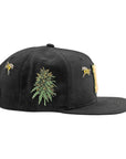 DGK Cultivators Snapback - Black